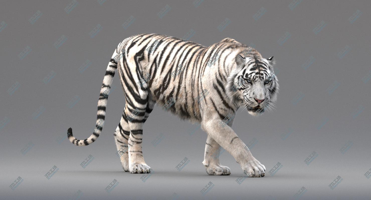 images/goods_img/202104094/3D White Tiger Animated (Fur)/5.jpg